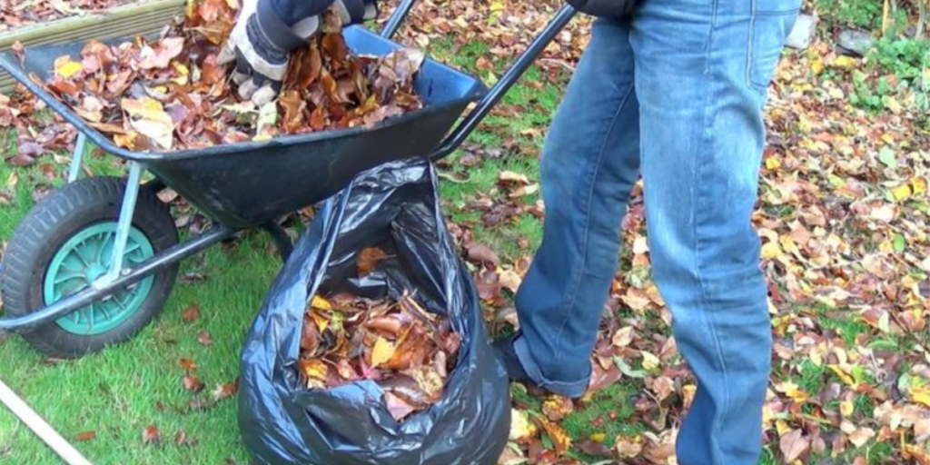 Leaf Mould in Plastic Bags (1)