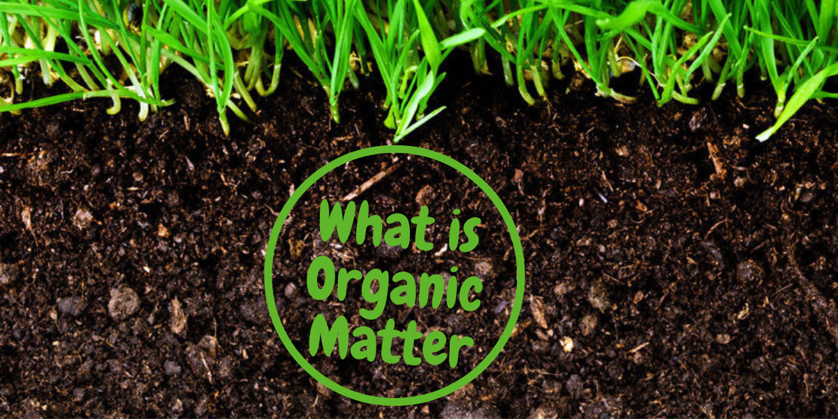 What is organic matter?