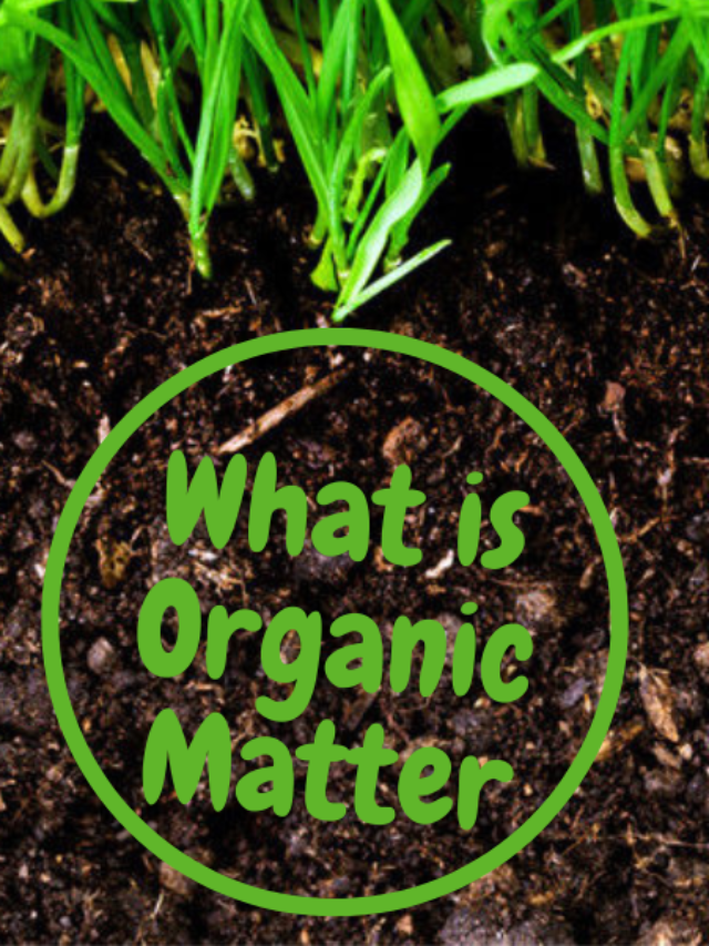 What is Organic Matter? Why It Is Important to Plants?