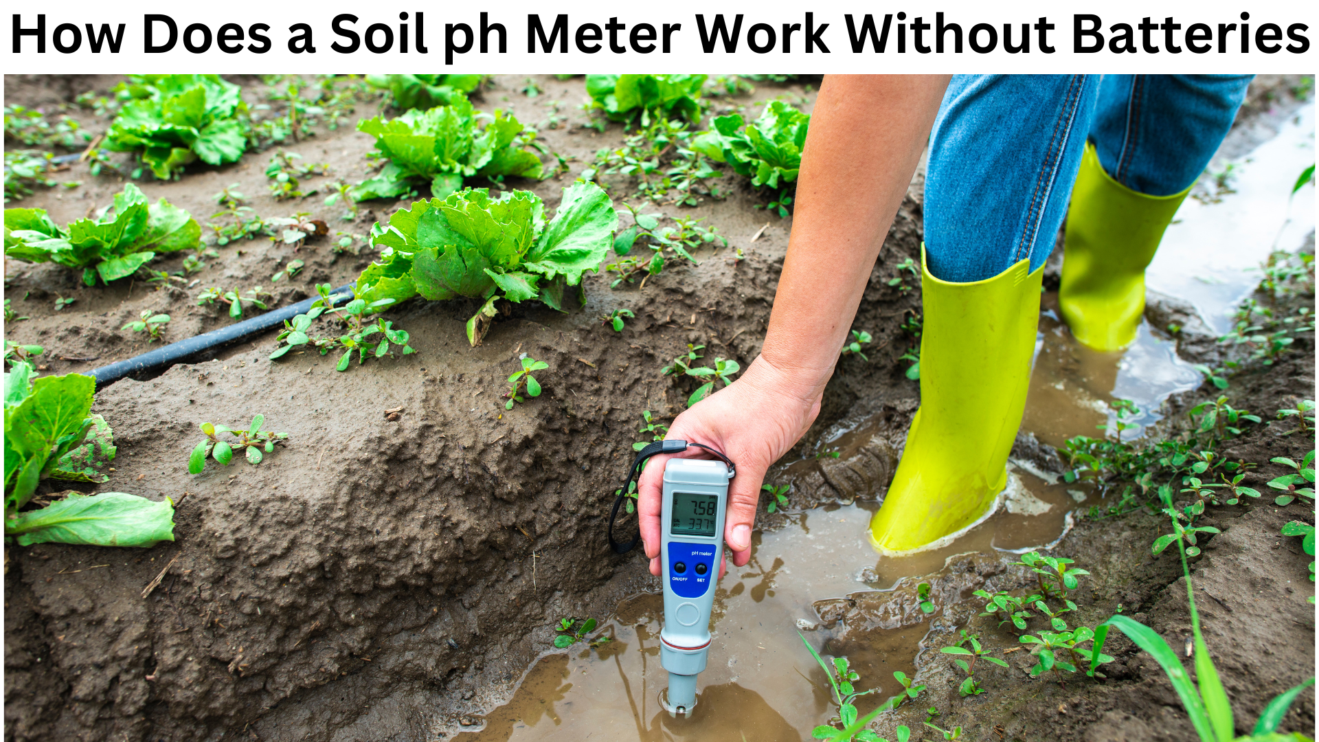 How Does a Soil ph Meter Work Without Batteries