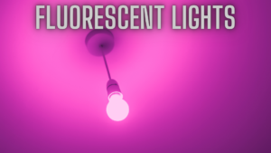fluorescent lights for plants