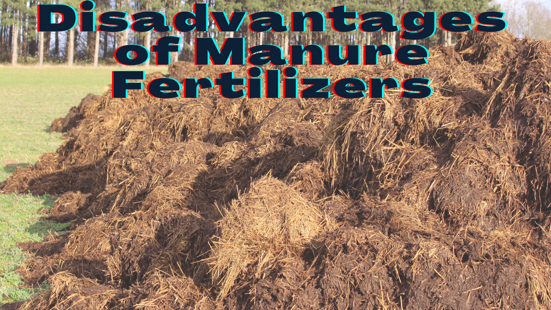 disadvantages of manure fertilizers
