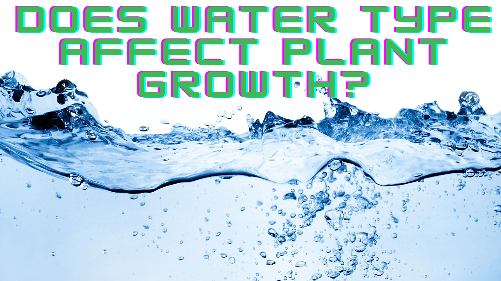 does water type affect plant growth