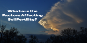 Factors affecting enzyme activity - Student Academic Success - Factors Affecting Fast Fertility