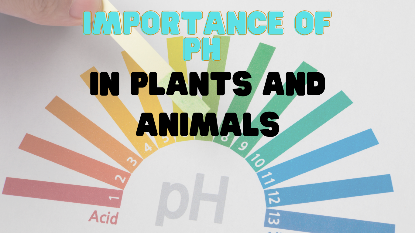 importance of pH in plants and animals