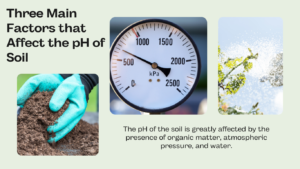 The pH of the soil is greatly affected by the presence 