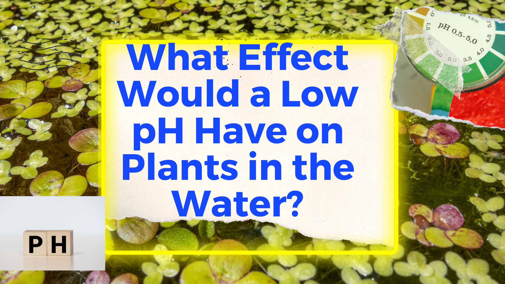 What Effect Would a Low pH Have on Plants in the Water