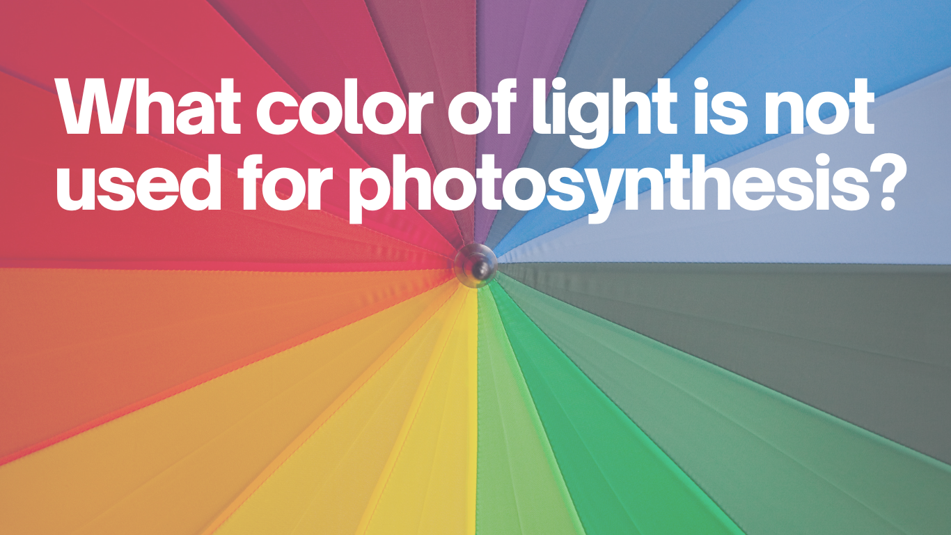 what color of light is not used for photosynthesis