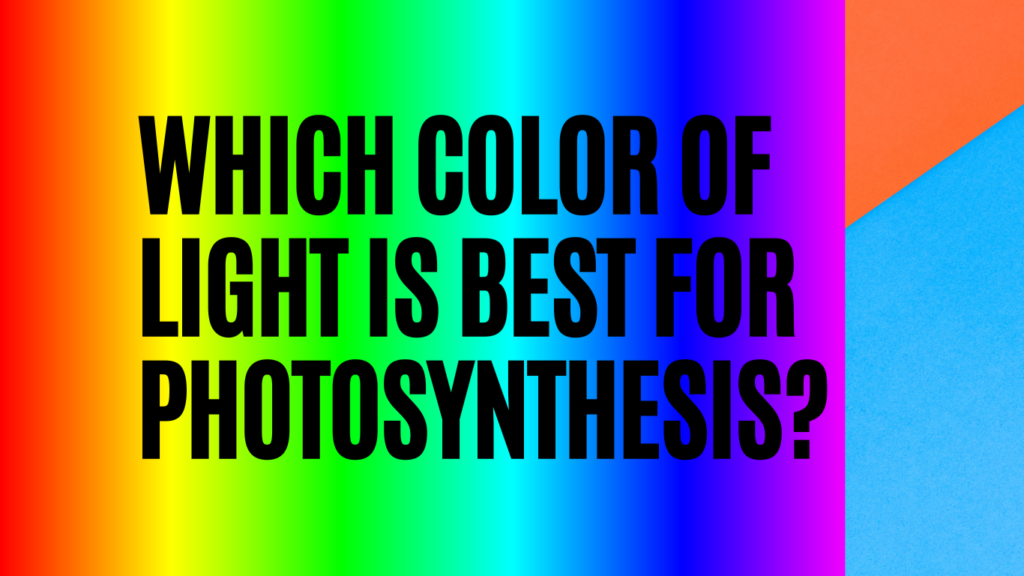 Which Color Of Light Is Best For Photosynthesis? - SaveYorkGarden