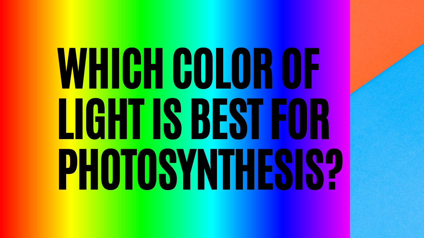 which color of light is best for photosynthesis?