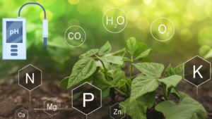 why is pH important for plants