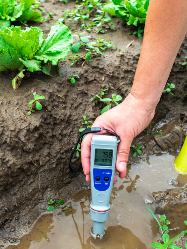 How Does a Soil ph Meter Work Without Batteries?