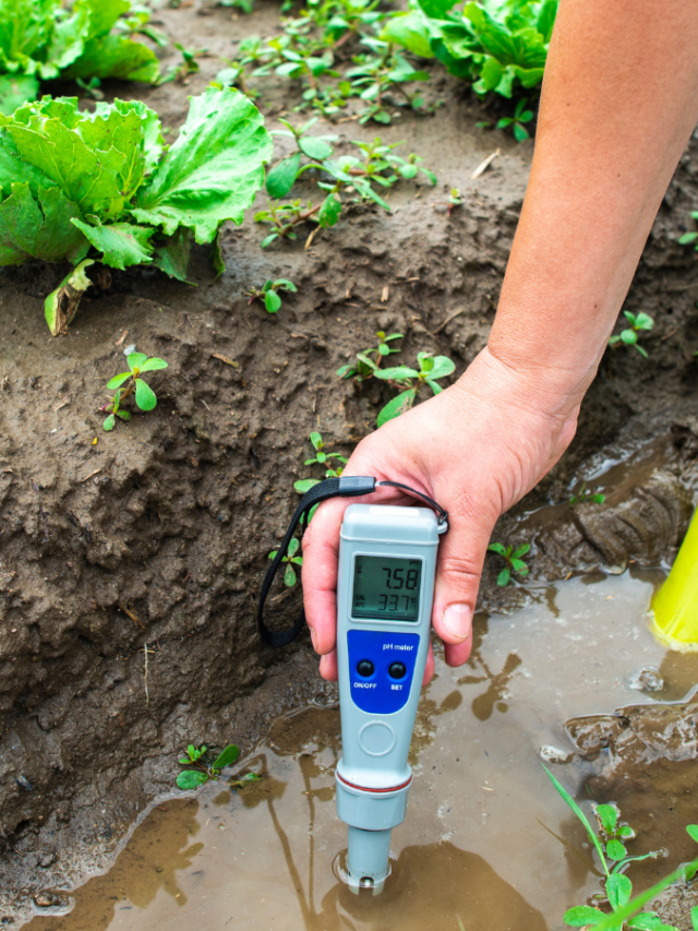 How Does a Soil ph Meter Work Without Batteries