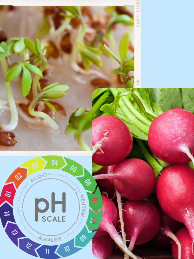How Does ph Affect Radish Seed Germination