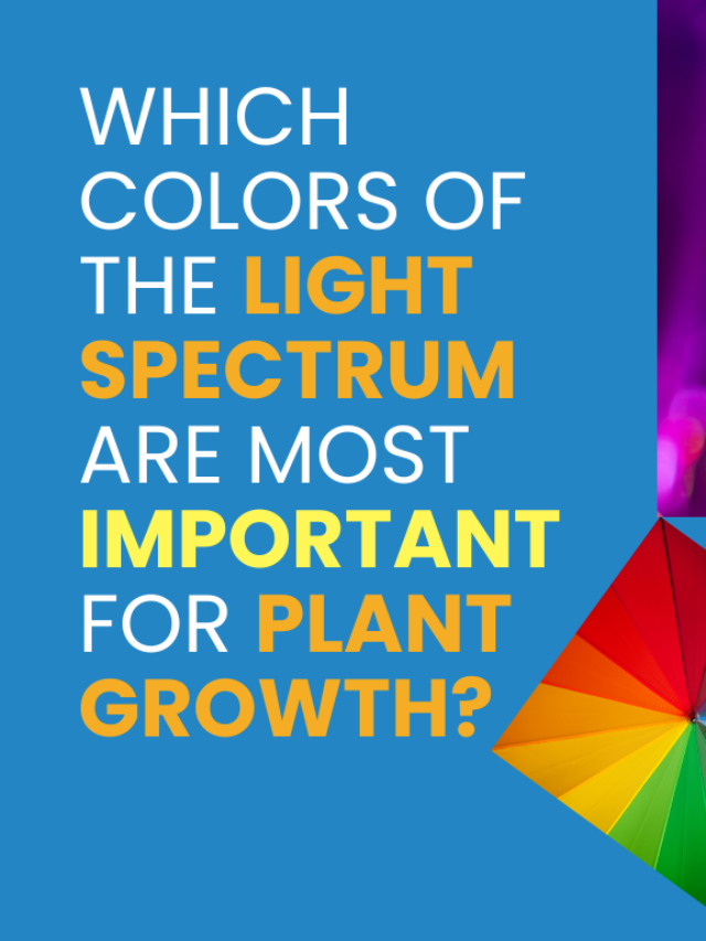 Which Colors Of The Light Spectrum Are Most Important For Plant Growth?