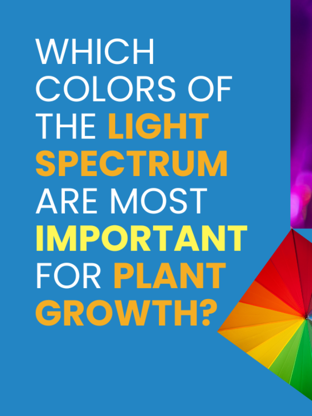 which colors of the light spectrum are most important for plant growth