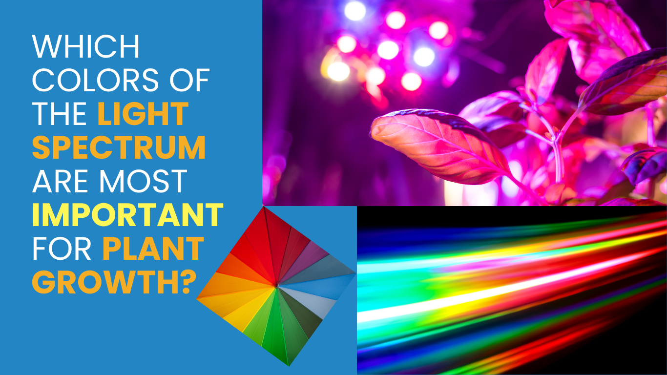 which colors of the light spectrum are most important for plant growth