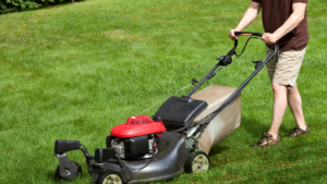 Do Push Lawn Mowers Have Alternators